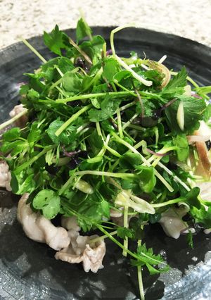 簡単 野菜たっぷり冷シャブサラダ-レシピのメイン写真
