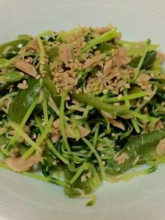 ピーマンと豆苗のツナ和え-レシピのメイン写真