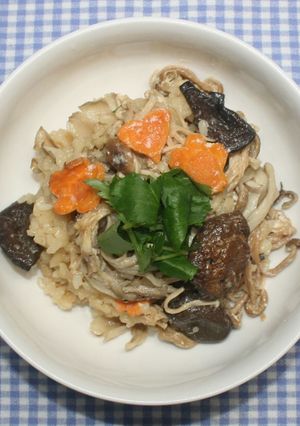 ヨーグルト戻し☆乾燥きのこで炊き込みご飯-レシピのメイン写真