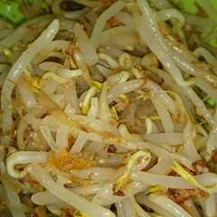 もやしのウメおかかあえ-レシピのメイン写真