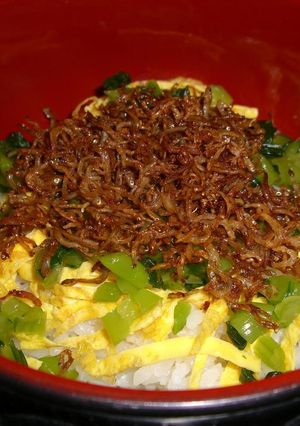 野沢菜じゃこ飯-レシピのメイン写真