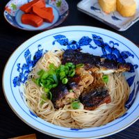 基本からアレンジまで！思わずつくりたくなる「鯖そうめん」のレシピ集