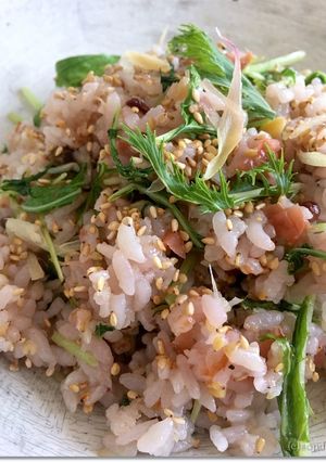 南高梅と茗荷の水菜入りチャーハン-レシピのメイン写真