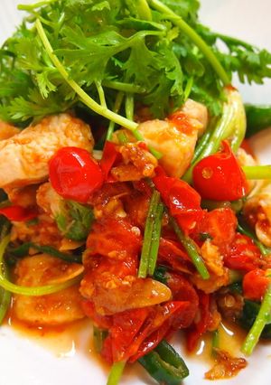 コリアンダーたっぷり 鶏肉のタイ風炒め-レシピのメイン写真