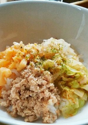 犬ご飯　ビビンバ風-レシピのメイン写真