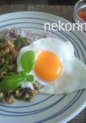 タイ飯★パットガパオ♪-レシピのメイン写真