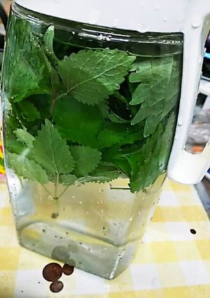 レモンバームバジル大葉のハーブ水-レシピのメイン写真