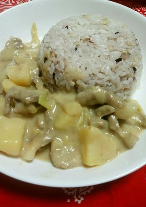 ☆豚ロース肉DEビーフストロガノフ風☆-レシピのメイン写真