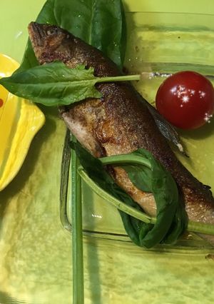 クッキングシートで焼く☆鮎の塩焼き-レシピのメイン写真