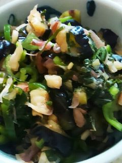 箸がとまらない! なすと香味野菜の浅漬け-レシピのメイン写真