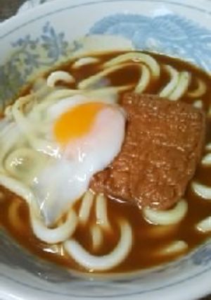 「京都の冷やしカレーうどん」の真似です。-レシピのメイン写真