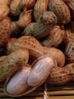 食べだしたら止まらない…茹で落花生-レシピのメイン写真