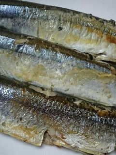 秋刀魚の塩焼き-レシピのメイン写真