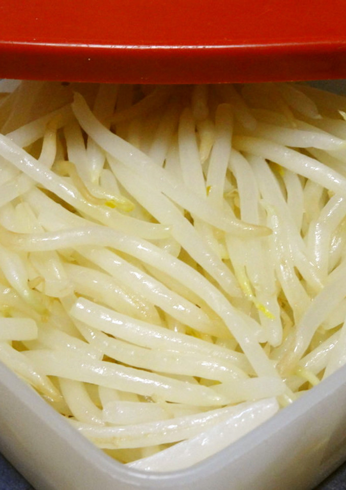 わが家の＊もやしの保存方法-レシピのメイン写真