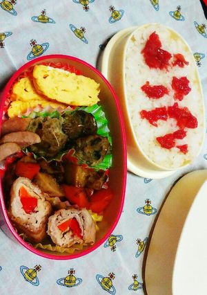 栄養たっぷりお弁当-レシピのメイン写真