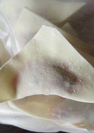 ミョウガワンタン♪-レシピのメイン写真