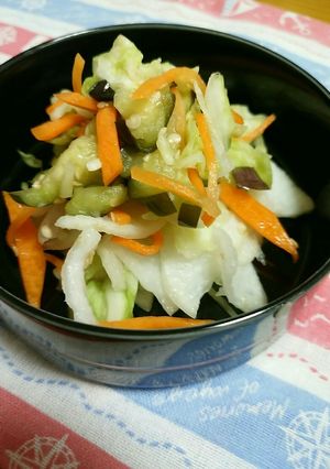 しょうがが効いてる！いろいろ野菜のお漬物-レシピのメイン写真