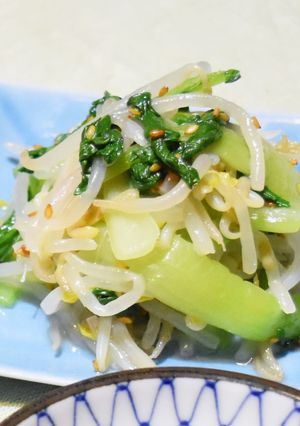 もやしとチンゲン菜のナムル-レシピのメイン写真