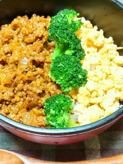 みんな大好き♪簡単ケチャップカレーそぼろ-レシピのメイン写真