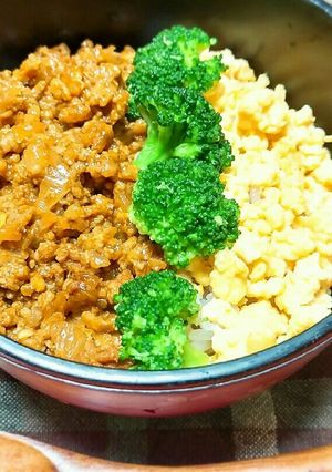 みんな大好き♪簡単ケチャップカレーそぼろ-レシピのメイン写真