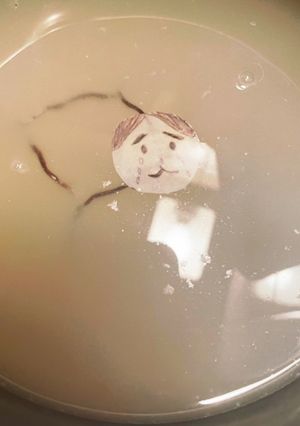 肉水（羽生蛇流）-レシピのメイン写真