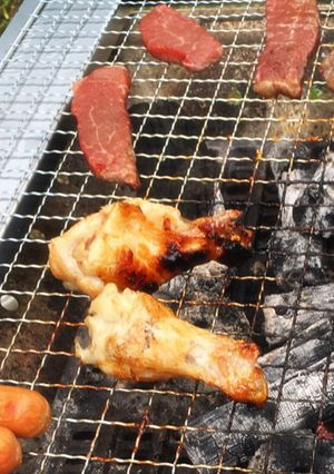 BBQで手羽元ー塩ごま油&砂糖醤油ー-レシピのメイン写真