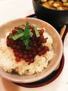今が旬!イクラの醤油漬け!-レシピのメイン写真