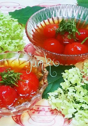 冷やしトマトおやつにもどうぞ～っ♪-レシピのメイン写真