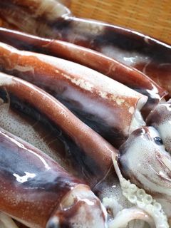 イカの下ごしらえ ♪-レシピのメイン写真