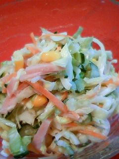 野菜たっぷり♪コールスロー風サラダ♪-レシピのメイン写真
