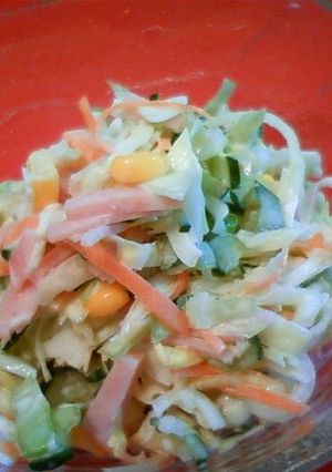 野菜たっぷり♪コールスロー風サラダ♪-レシピのメイン写真