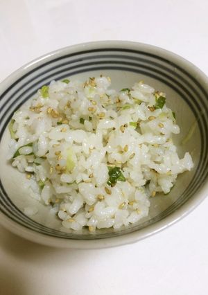 ベジタリアンおネギの混ぜ御飯-レシピのメイン写真