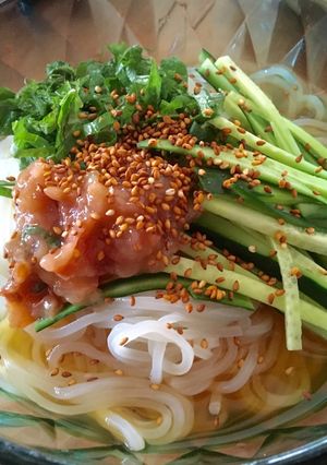 梅しそ冷麺-レシピのメイン写真