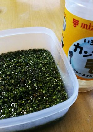 しその実のお酢漬け-レシピのメイン写真