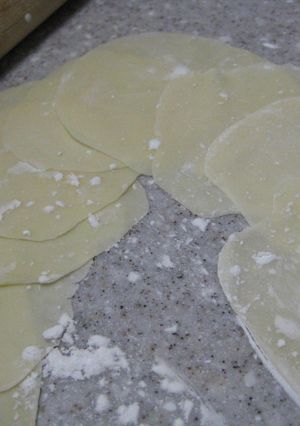 手作り餃子の皮-レシピのメイン写真