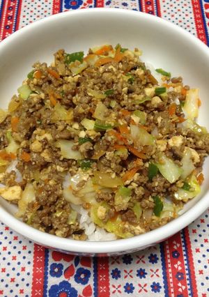 お野菜たっぷり そぼろご飯-レシピのメイン写真