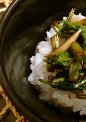 パクチーのにんにく醤油漬け-レシピのメイン写真