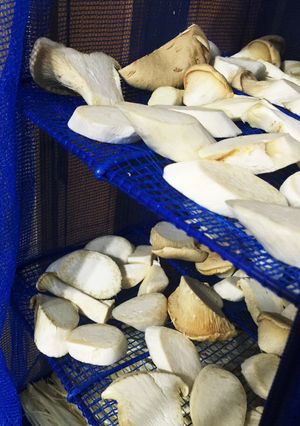 干しエリンギ◇エリンギは干すと旨くなる-レシピのメイン写真