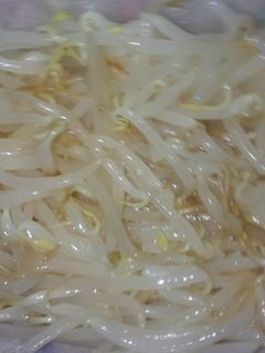 もやしのナムル-レシピのメイン写真