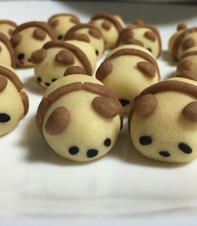 パンダクッキー-レシピのメイン写真