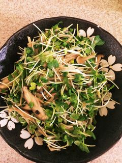 かいわれ大根とキノコのレンチンサラダ-レシピのメイン写真