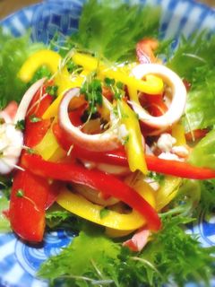 いかとパプリカのカラフルサラダ-レシピのメイン写真