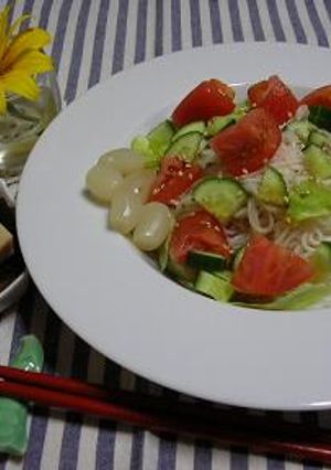 簡単サラダそうめん-レシピのメイン写真