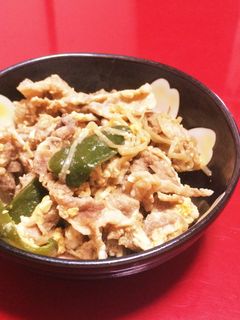 (節約レシピ)豚肉のもやし炒め-レシピのメイン写真