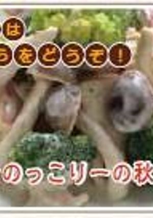 きのっこりーの秋サラダ-レシピのメイン写真