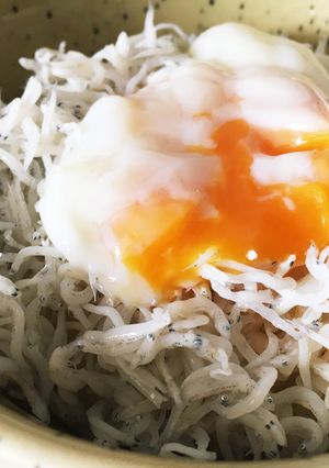 しらす丼-レシピのメイン写真