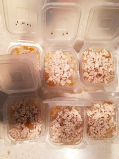 離乳食 中 後期 鶏の炊き込みご飯お弁当-レシピのメイン写真