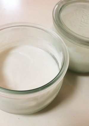 自家製ココナッツヨーグルト COYO!-レシピのメイン写真