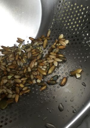自宅でスプラウト-レシピのメイン写真