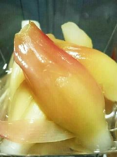 みょうがの酢の物-レシピのメイン写真